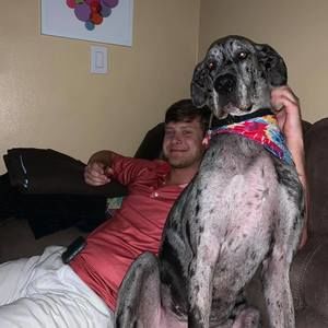 Meet your Posher, Austin